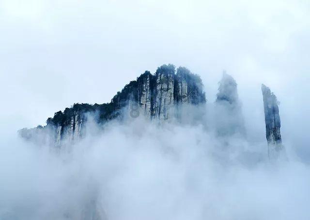 植物大战僵尸21