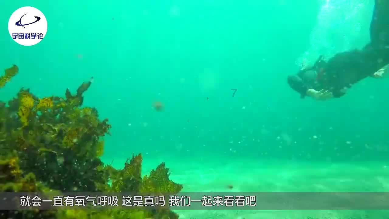 地砖选择要注意什么问题游戏画面