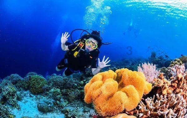 复兴亚洲拟折让约39.1%配发合共8亿股 净筹约2220万港元