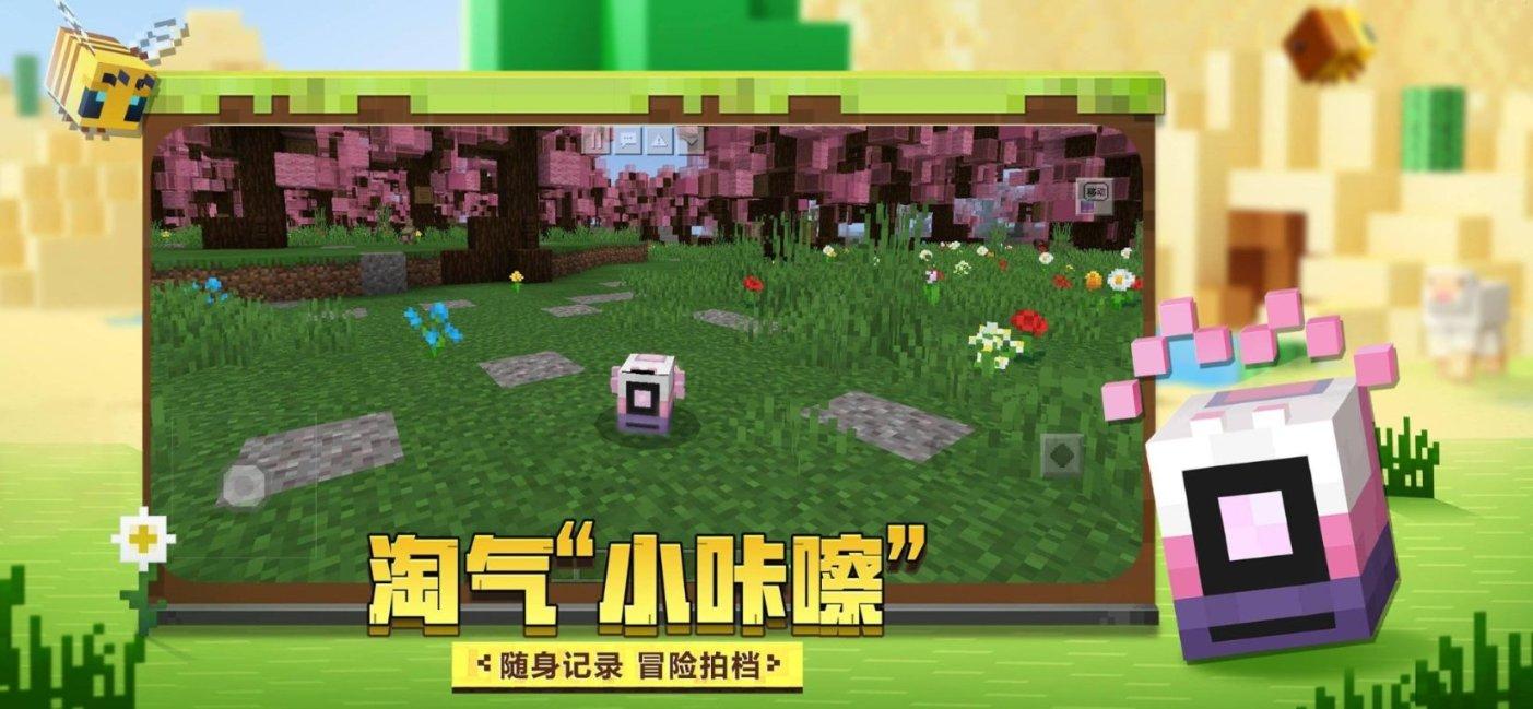 寻找遗失的珠宝盒