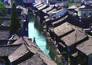 小企鹅逃生